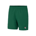 Leo Shorts Men - green,