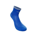 blue_5727
