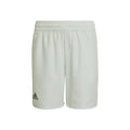 Club Shorts Boys - green,