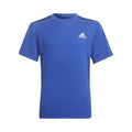 Designed 4 Sport T-Shirt Boys - blue,