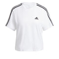 white_5677
