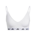 white_5677