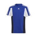 blue_5727