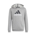 Big Logo 2 Hoody Boys - lightgrey,