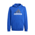 Big Logo 2 Hoody Boys - blue,