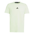 D4T T-Shirt Men - light green,