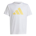 white_5677