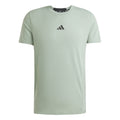 D4T T-Shirt Men - sage,