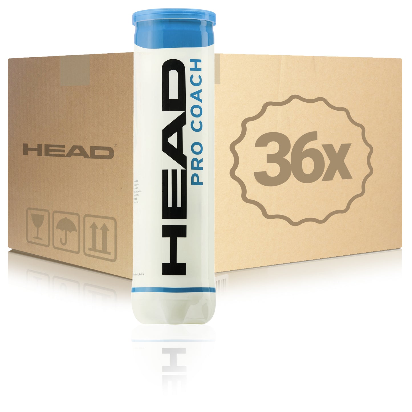 HEAD 36x 4 Ball Tube Pro Coach in a box