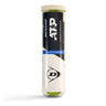ATP Championship 4 Ball Tube