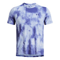 lilac_5681
