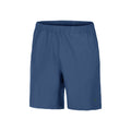 ACE 9in Shorts Men - blue,