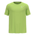 light green_5810