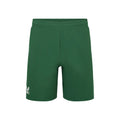 Technical Shorts Men - green,