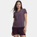 lilac_5681
