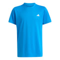 blue_5727