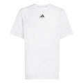 D4T Essentials T-Shirt Men-white