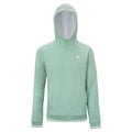 Team Terry Hoody Unisex - sage