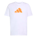 white_5677