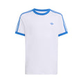 white_5677