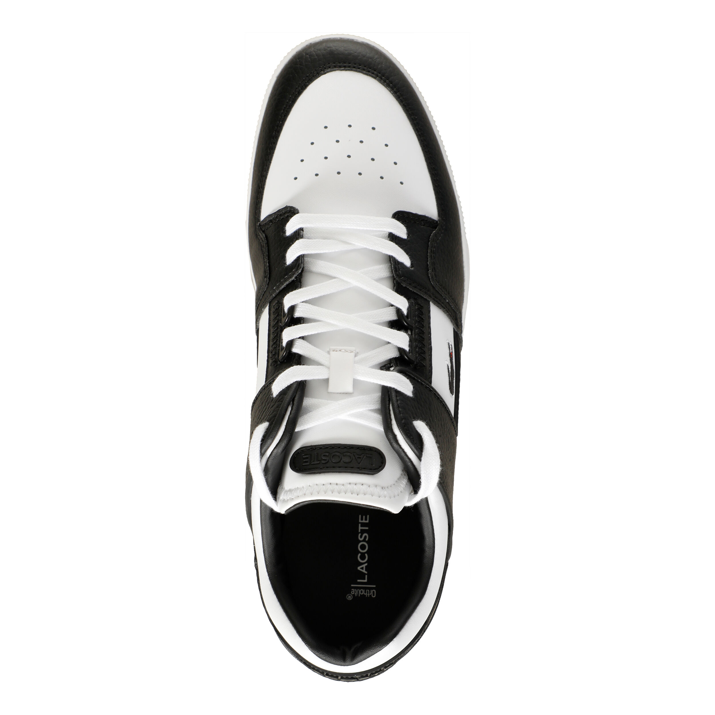 Black and white lacoste deals