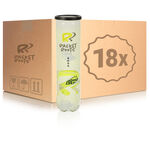 Racket Roots Pressurized ball Racket Roots Club Tennisball 4 Ball Tube