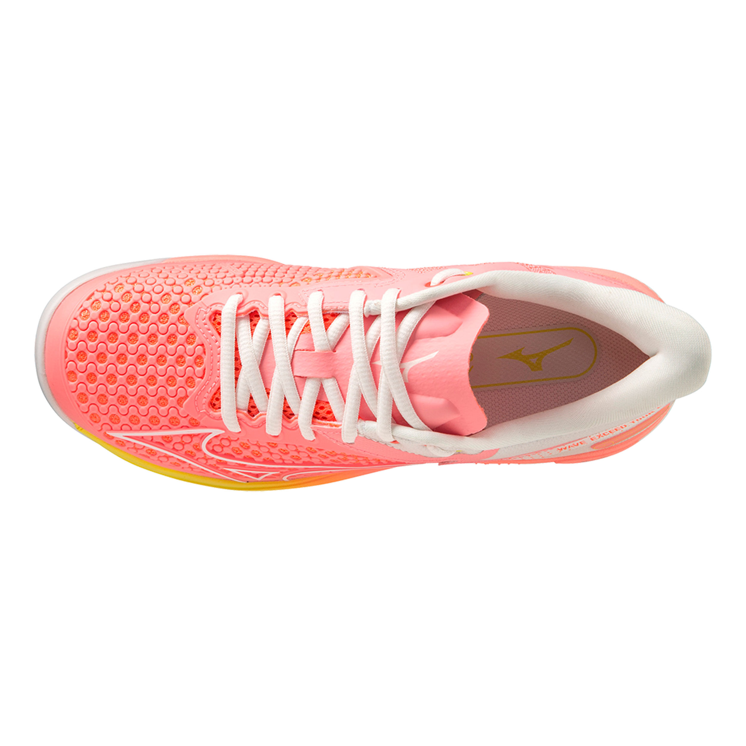Puma evospeed indoor netfit 3 discount
