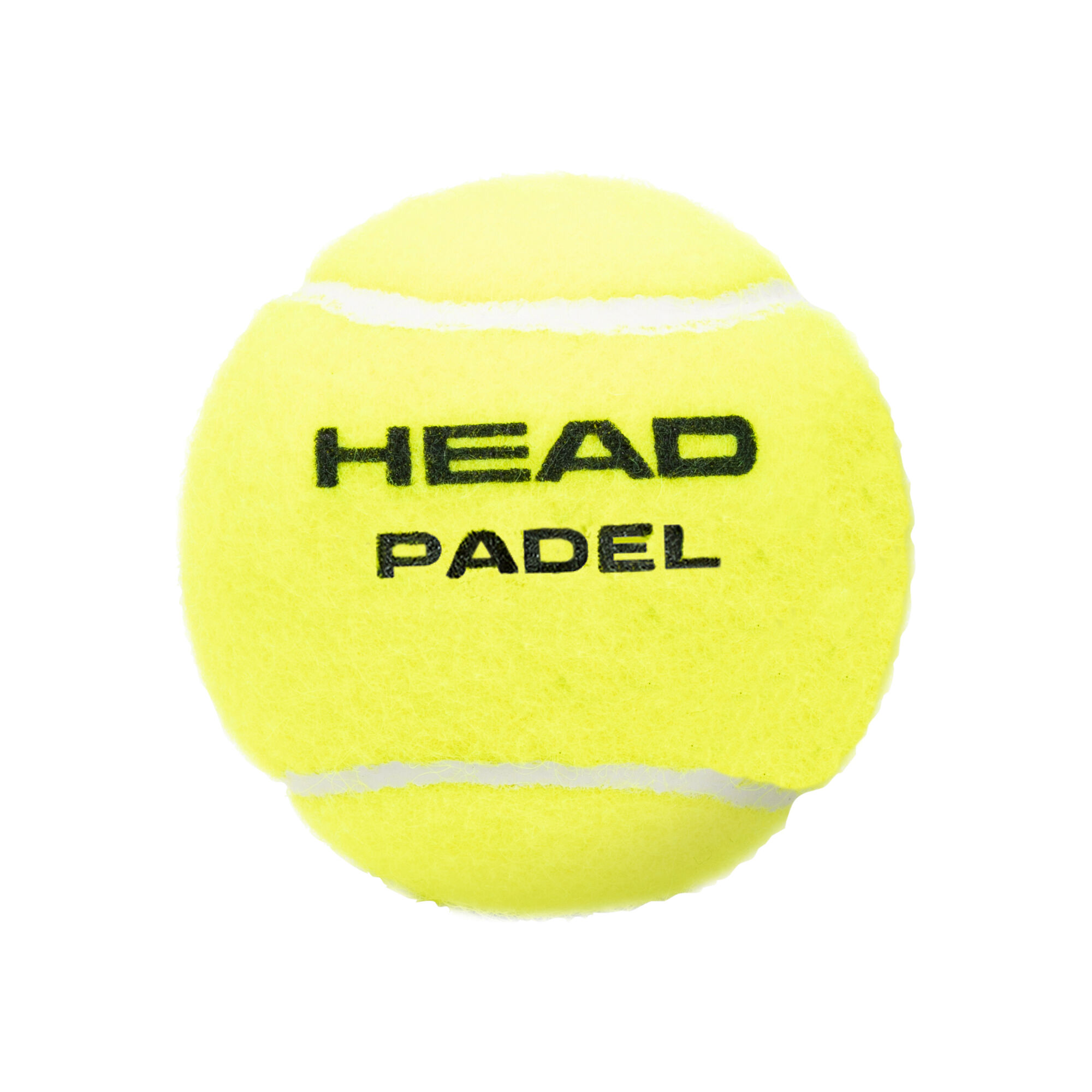 HEAD