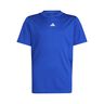 Essentials T-Shirt Boys-Blue