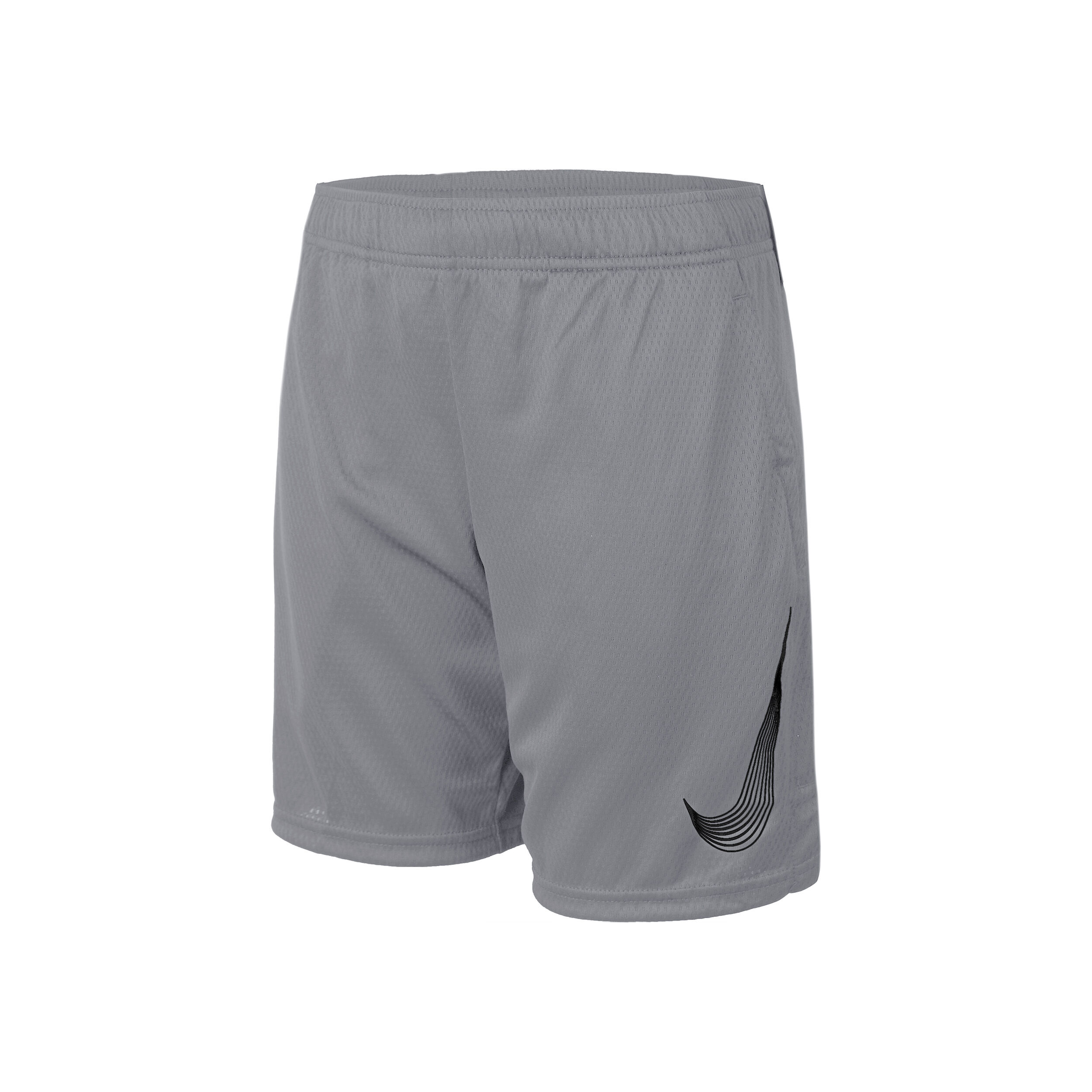 Dri Fit HBR Shorts Boys Grey