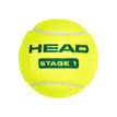 HEAD