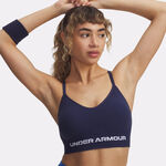 Under Armour Clothing Under Armour Vanisheamle Low Sports Bras Women-Blue