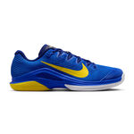 Nike Tennis shoes Nike Zoom Vapor 12 All court shoe Men - blue, yellow