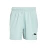 D4T Essentials 7Inch Shorts Men-mint
