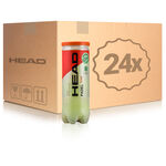 HEAD Padel ball HEAD Padel Team 3 Ball Tube