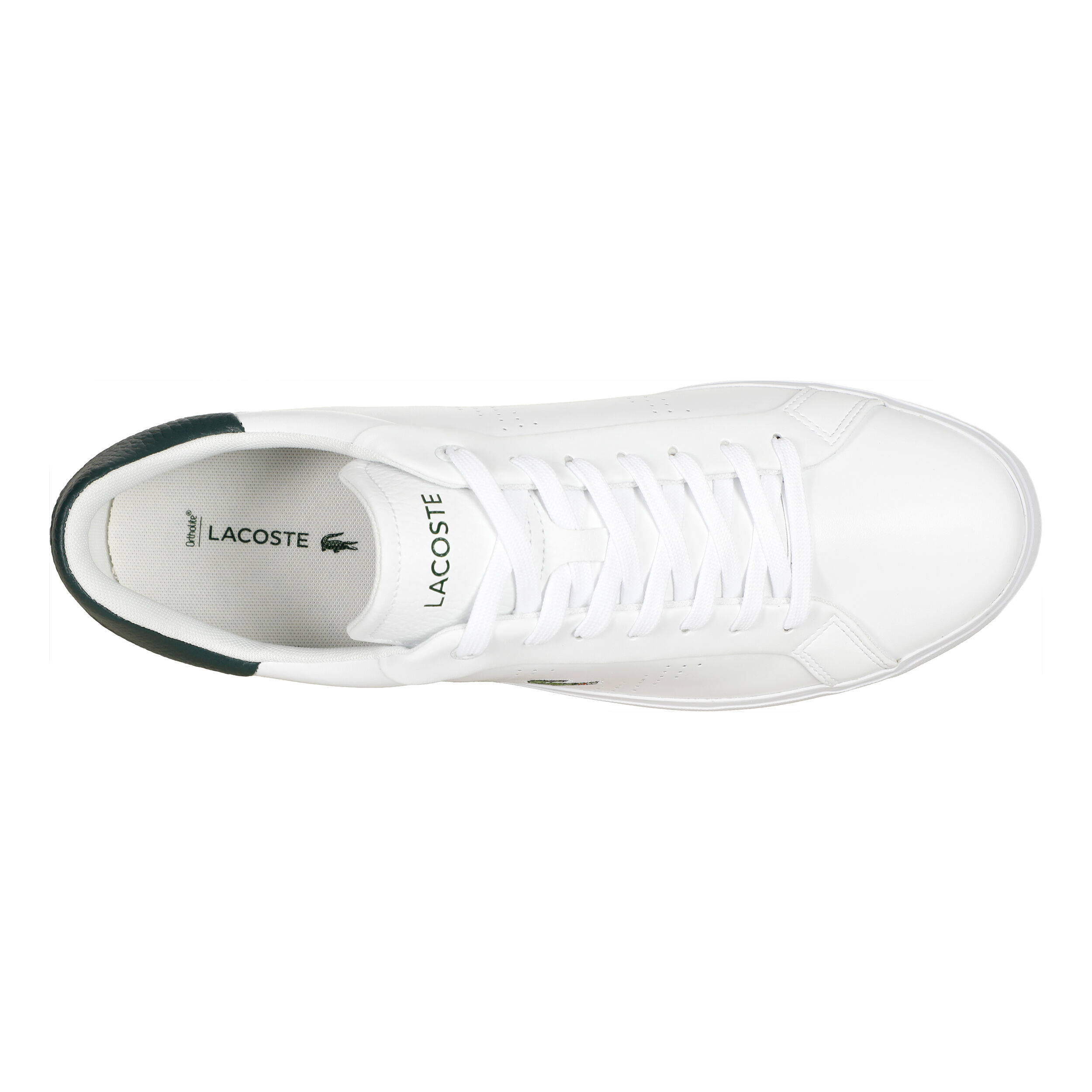 Cheap lacoste shoes for men outlet