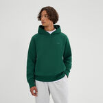 Ellesse Clothing Ellesse Madone Hoody Men - dark green, 