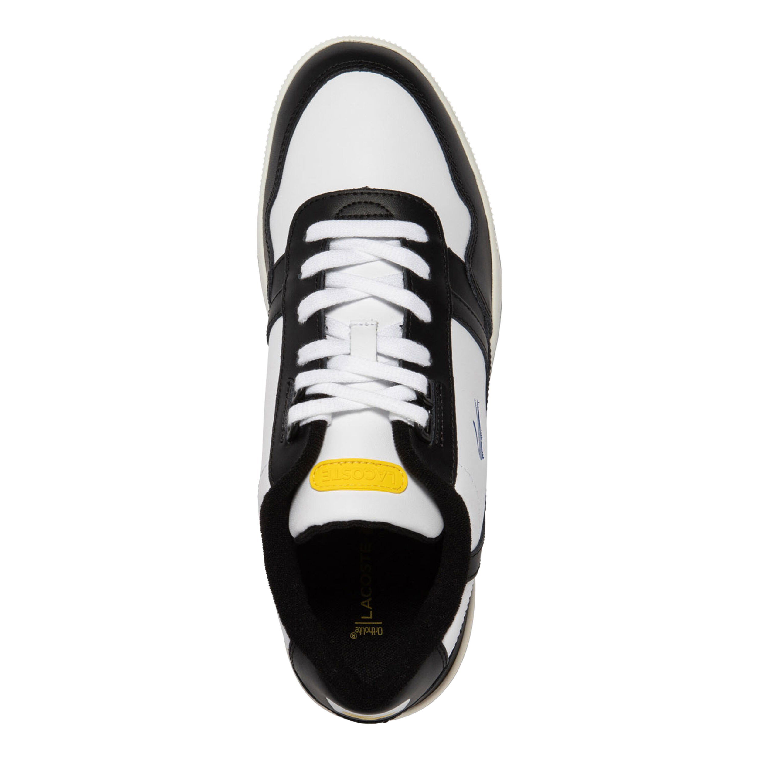 Lacoste mens on sale shoes sale uk