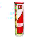 Wilson Tennis balls Wilson Team W Practice 4 Ball Tube