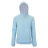 TEAM TERRY HOODIE SAGE Hoody Unisex-light blue