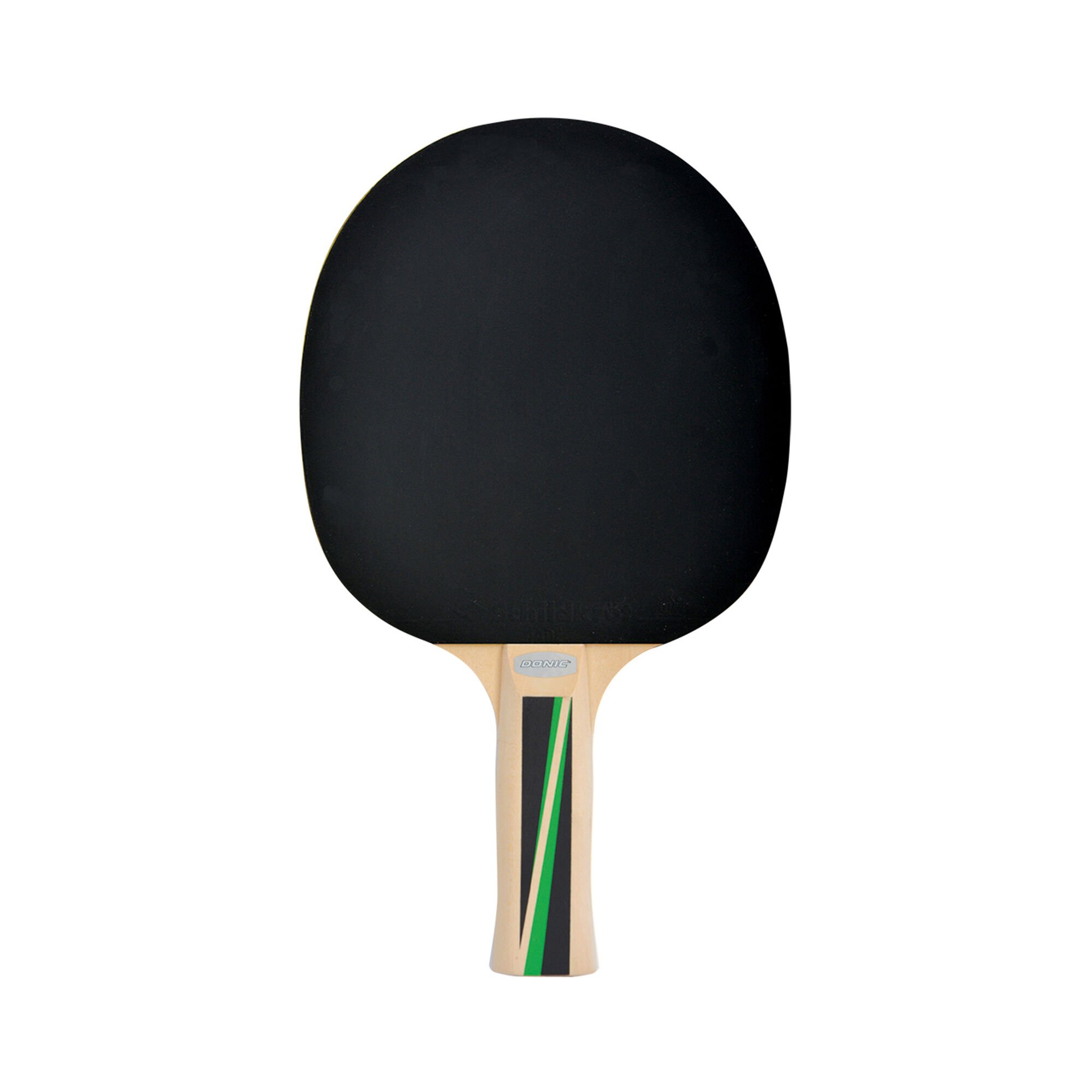 Schildkr&ouml;t Fitness