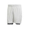 2in1 Pro Shorts Men-Lightgrey,Black