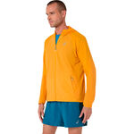 ASICS Clothing ASICS Road Packable Jacket Running jacket Men-yellow, blue