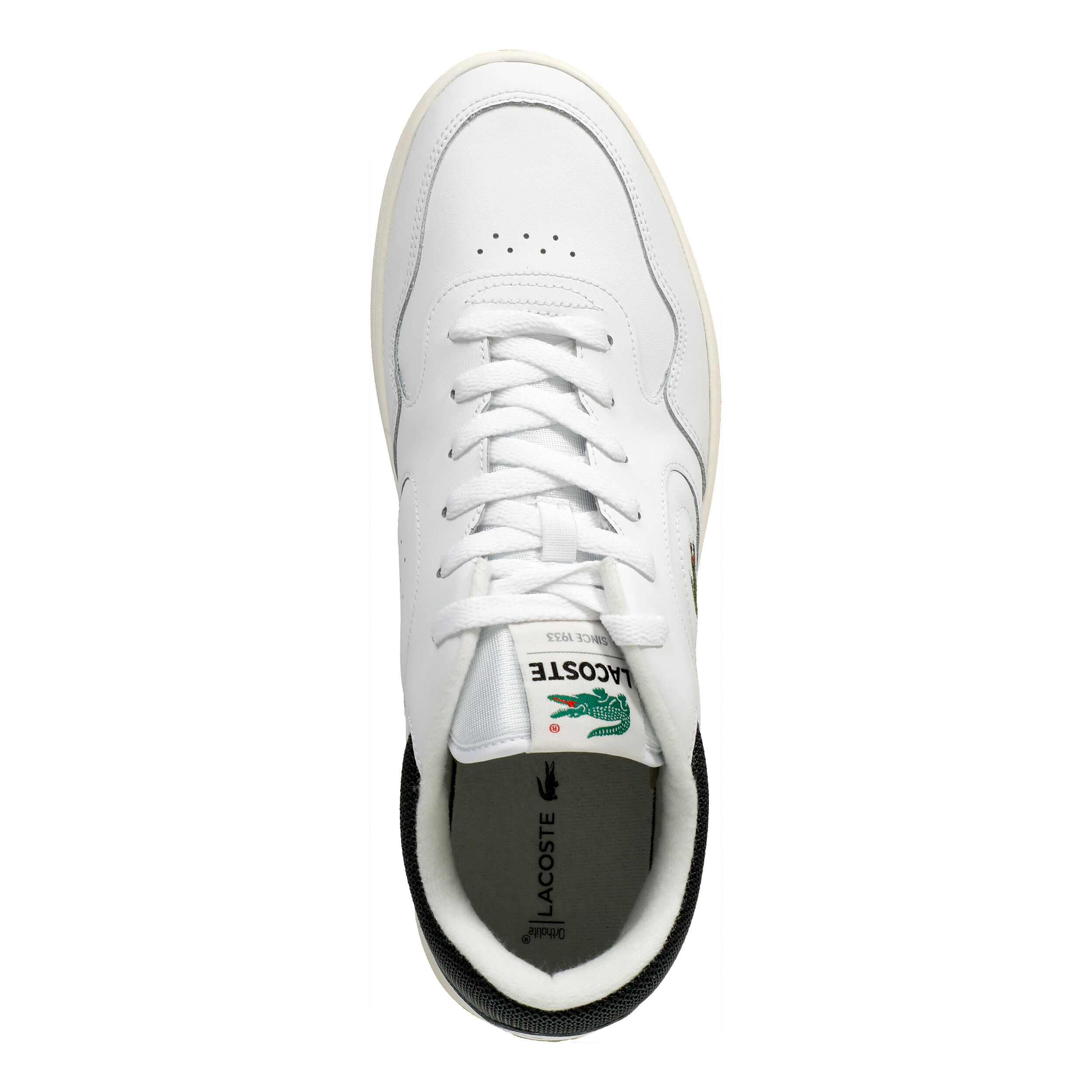 Lacoste mens online trainers sale