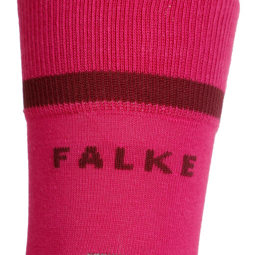 Falke