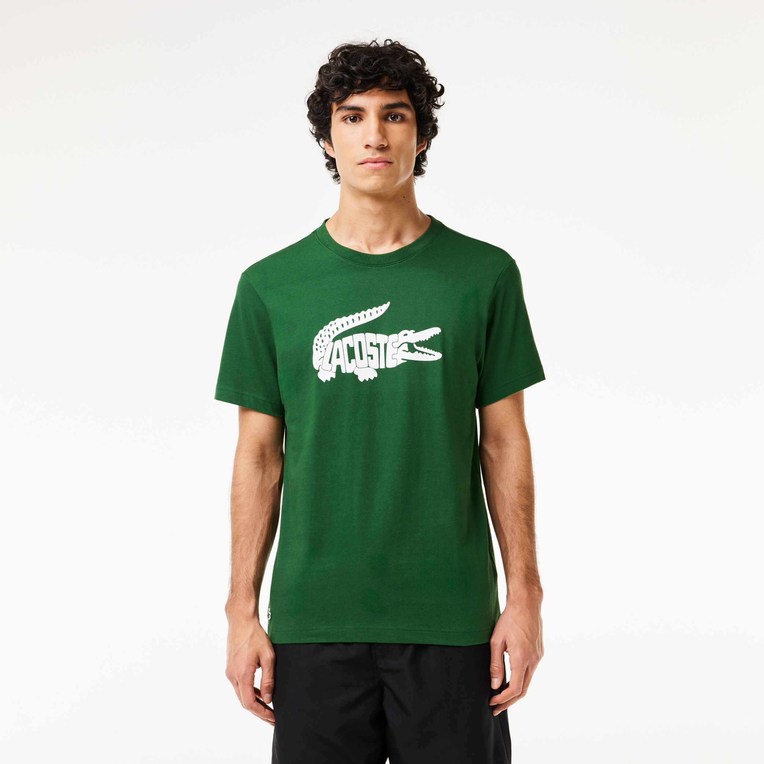 Lacoste t shirt for men shop