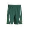 Designed for Training Legacy Shorts