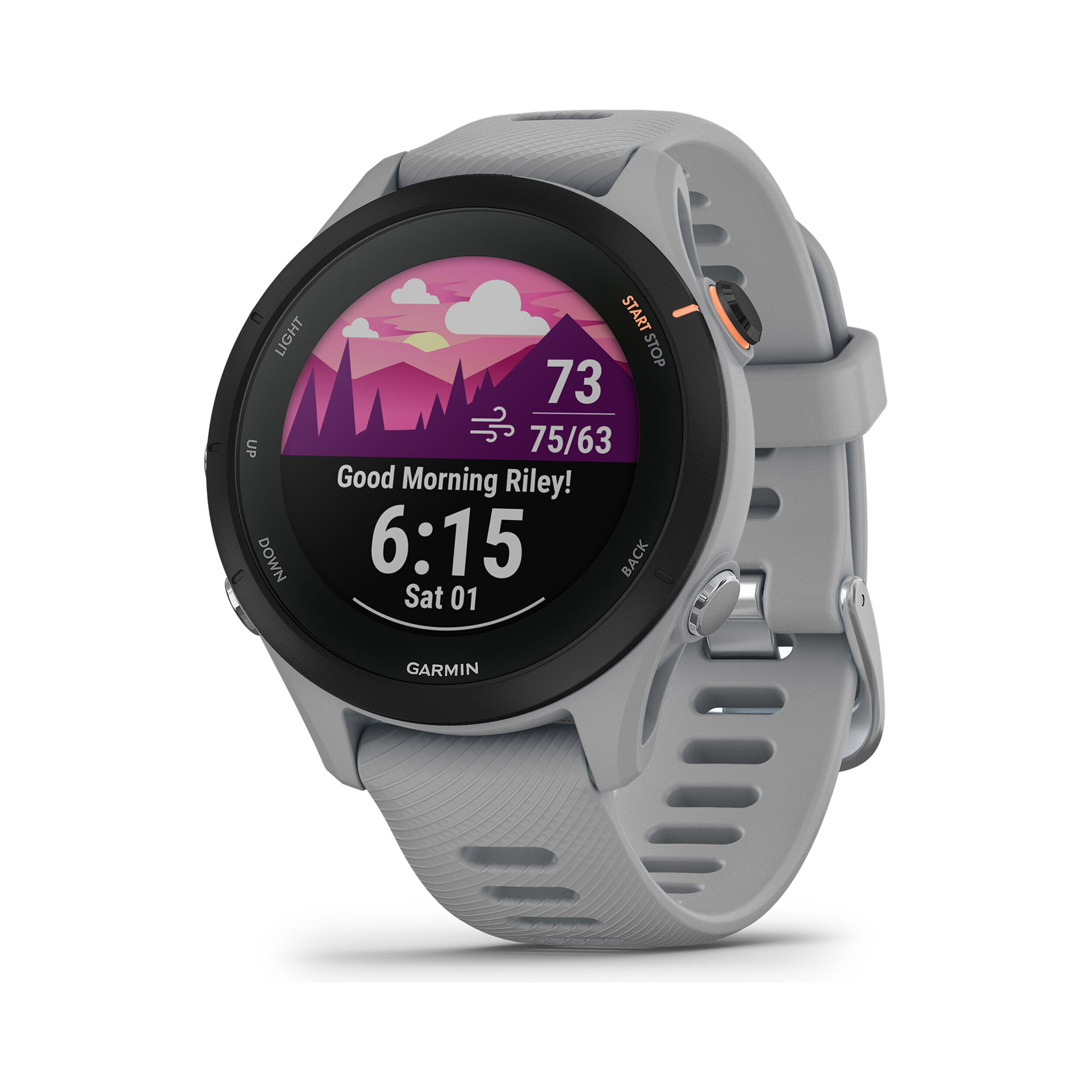 Garmin forerunner 645 online music update