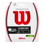 Wilson Sensation 16  12m