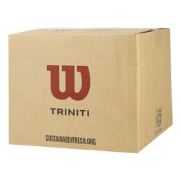 TRINITI CLUB 36 TBALL Special Edition
